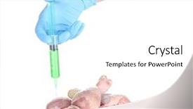  Presentation with meat food - Cool new PPT theme with genetically modified food - injection of gmos backdrop and a white colored foreground