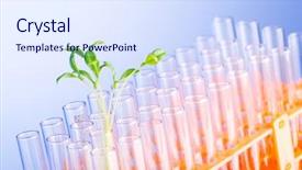  Presentation with lab - Audience pleasing slides consisting of genetically modified food - lab experiment with green seedlings backdrop and a sky blue colored foreground