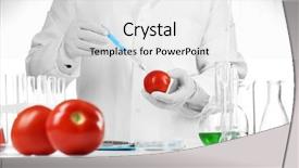 Presentation with food laboratory - Cool new slide deck with genetically modified food - scientist examines tomatoes in laboratory backdrop and a white colored foreground