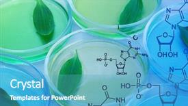  Presentation with genetically - Audience pleasing PPT layouts consisting of plant chemistry - genetically modified leaves tested backdrop and a teal colored foreground