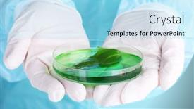  Presentation with genetically - PPT theme enhanced with genetically-modified-plant-in-petri background and a arctic colored foreground