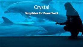  Presentation with swim - 