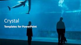  Presentation with swim - 