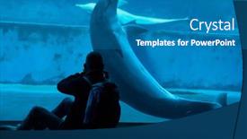  Presentation with swim - 