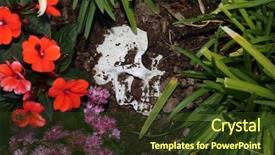  Presentation with genocide - Cool new presentation with genocide - crime scene human skull buried backdrop and a tawny brown colored foreground