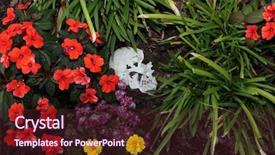  Presentation with genocide - Amazing PPT theme having genocide - crime scene human skull buried backdrop and a tawny brown colored foreground