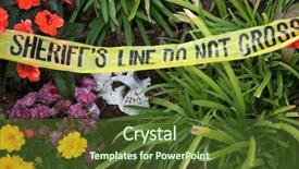  Presentation with genocide - Beautiful presentation theme featuring genocide - crime scene human skull buried backdrop and a tawny brown colored foreground