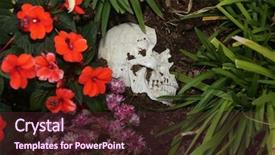  Presentation with genocide - PPT theme with genocide - crime scene human skull buried background and a tawny brown colored foreground