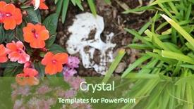  Presentation with crime scene - Colorful slides enhanced with genocide - crime scene human skull buried backdrop and a tawny brown colored foreground