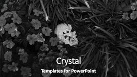  Presentation with crime scene - PPT theme enhanced with genocide - crime scene human skull buried background and a black colored foreground