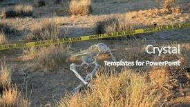  Presentation with csi - PPT theme enhanced with genocide - crime scene skeleton partially buried background and a violet colored foreground