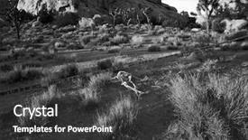  Presentation with genocide - PPT layouts featuring genocide - crime scene skeleton partially buried background and a dark gray colored foreground