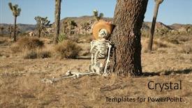  Presentation with genocide - Beautiful slide deck featuring genocide - skeleton lays against a joshua backdrop and a coral colored foreground