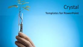  Presentation with genome - Slides enhanced with genome - close-up of plants in test background and a cyan colored foreground