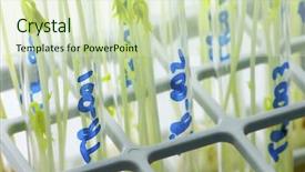  Presentation with genome - Amazing slides having bhutanese - taktsang palphug monastery the tiger backdrop and a  colored foreground.