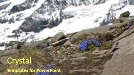  Presentation with gentian - Audience pleasing presentation design consisting of gentiana verna - spring gentian under grossglockner peak backdrop and a tawny brown colored foreground