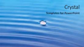  Presentation with single color - Amazing PPT theme having gentle breeze - single cherry flower petal floating backdrop and a light blue colored foreground