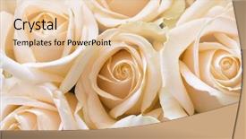  Presentation with gentle - Colorful theme enhanced with gentle roses as a holiday backdrop and a lemonade colored foreground