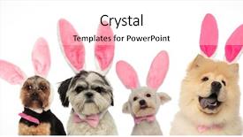  Presentation with dogs - PPT layouts enhanced with gentlemen - four dogs team ready background and a white colored foreground