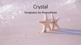  Presentation with gentle - Cool new theme with gently - two starfish on sea ocean backdrop and a light gray colored foreground