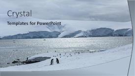  Presentation with iceberg - Presentation design enhanced with gentoo penguins on iceberg antarctic background and a light blue colored foreground