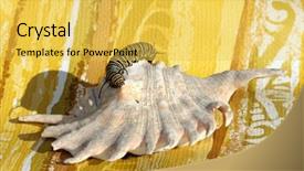  Presentation with cocoon - Presentation design having genuine monarch butterfly caterpillar danaus background and a yellow colored foreground