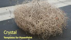  Presentation with black road - Presentation theme consisting of genuine tumble weed aka salsola background and a tawny brown colored foreground
