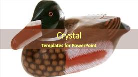  Presentation with duck hunting - PPT theme enhanced with genuine wooden duck decoy isolated background and a tawny brown colored foreground