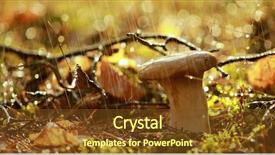  Presentation with mushroom - Cool new PPT layouts with genus of mushroom-producing fungi backdrop and a tawny brown colored foreground