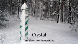  Presentation with forest - Slide set with geodetic - forestry sign forest near kiev background and a light gray colored foreground