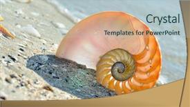  Presentation with shell - Colorful slides enhanced with  backdrop and a  colored foreground