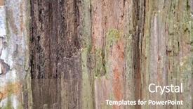  Presentation with geomorphology - Colorful presentation design enhanced with geomorphology - stone background backdrop and a  colored foreground