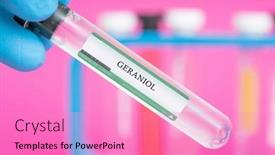  Presentation with plants - Presentation theme featuring geraniol-a-pheromone-produced background and a coral colored foreground