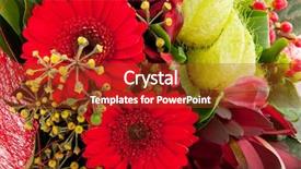  Presentation with diversity - Beautiful theme featuring gerber and diversity of flower backdrop and a tawny brown colored foreground