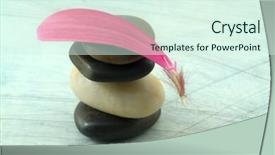  Presentation with pink rose - Slides having gerber petal on grungy bluish background and a  colored foreground