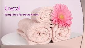  Presentation with clean - Colorful PPT theme enhanced with gerbera - clean rolled towels and beautiful backdrop and a pink colored foreground