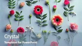  Presentation with white flowers - Theme featuring gerbera - flat lay of fresh flowers background and a seafoam green colored foreground