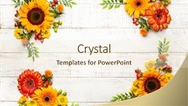  Presentation with white flowers - Colorful PPT theme enhanced with gerbera border - beautiful autumn flowers and berries backdrop and a cream colored foreground