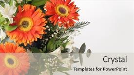 Presentation with border flower - Amazing slide deck having gerbera border - flower bouquet on gray background backdrop and a  colored foreground