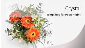  Presentation with border flower - Slide deck with gerbera border - flower bouquet on gray background background and a white colored foreground