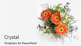  Presentation with border flower - Beautiful presentation featuring gerbera border - flower bouquet on gray background backdrop and a white colored foreground