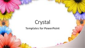  Presentation with flowers border - PPT layouts featuring gerbera border - frame made from flowers background and a white colored foreground
