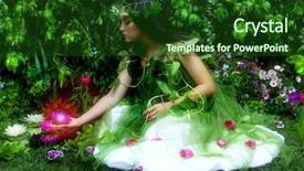  Presentation with fairy night - Cool new presentation theme with gerbera daisies butterfly - enchanted garden and the fairy backdrop and a forest green colored foreground