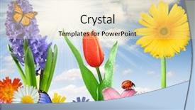  Presentation with award floral - Slide deck with gerbera daisies butterfly - floral background background and a  colored foreground