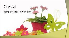  Presentation with gerbera daisies - Slides with gerbera daisies butterfly - floral decoration background and a  colored foreground