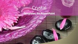  Presentation with water bamboo - 