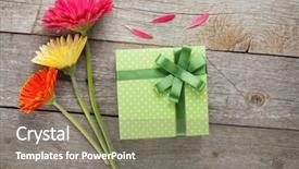  Presentation with gift - Presentation theme having gerbera flowers with gift box background and a gray colored foreground