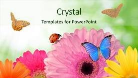  Presentation with rustic bridge pebbles purple butterflies - Beautiful presentation theme featuring gerberas-with-butterflies backdrop and a soft green colored foreground