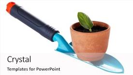  Presentation with drug pot session - Audience pleasing PPT theme consisting of germ at pot and scapula backdrop and a  colored foreground