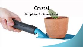  Presentation with drug pot session - Slides featuring germ at pot and scapula background and a  colored foreground